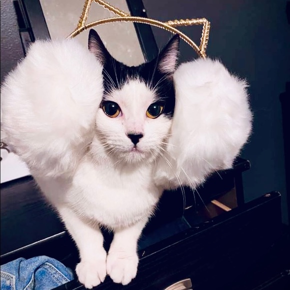 Meet your Posher, Elyse - Picture 2 of 8